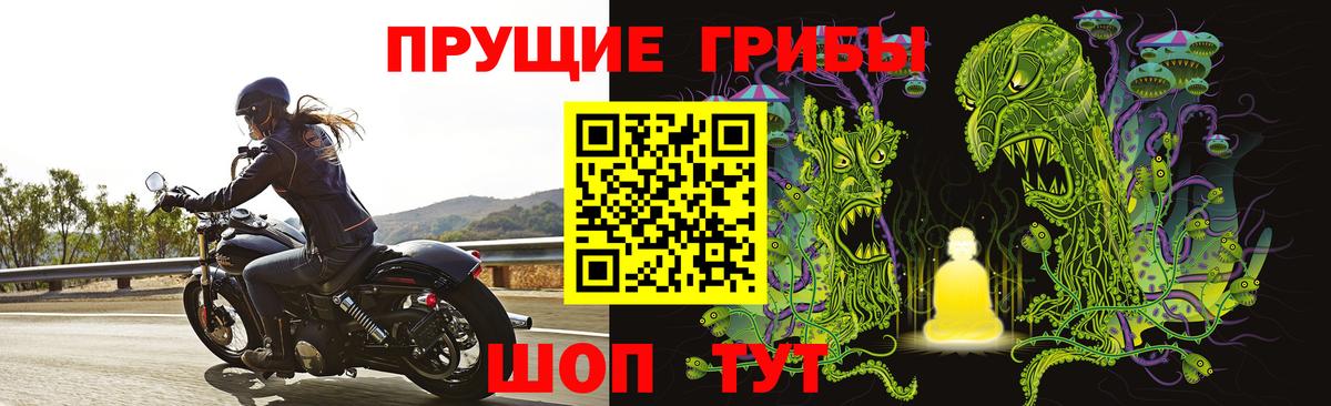 Псилоцибиновые грибы MAGIC MUSHROOMS  Вход с VPN  Котельники 